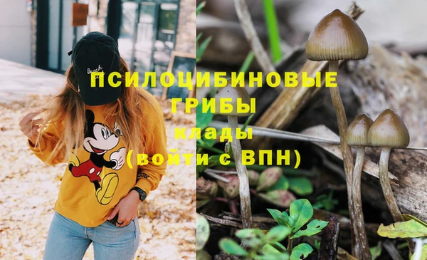 mdpv Абаза